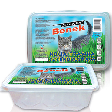 SUPER BENEK TRAWKA DLA KOTA