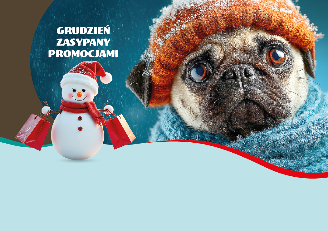 Grudzień zasypany promocjami w Kakadu Zoo