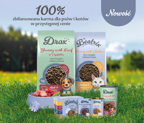 Drax i Beatrix 12_2025