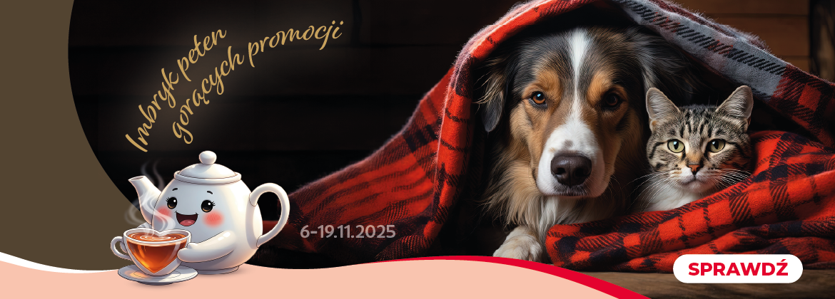 Imbryk pełen gorących okazji w Kakadu Zoo - listopad 2025