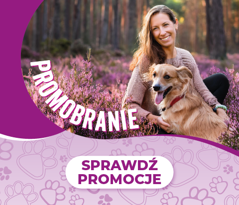 Promobranie wrzesień 2024