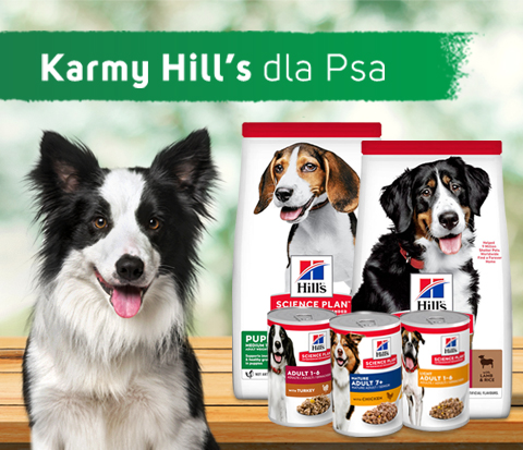 karma Hills dla psa